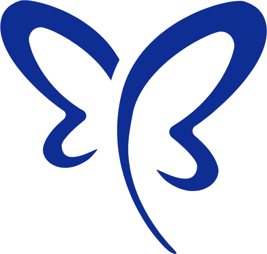 Logo bstory